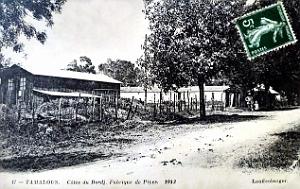Tamalous - Pres de Philippeville - Cotes du Bordj - Fabrique de Pipes
